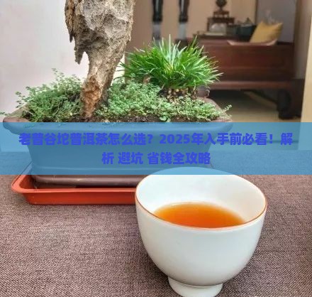 老普谷坨普洱茶