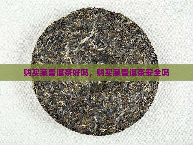 购买藏普洱茶好吗