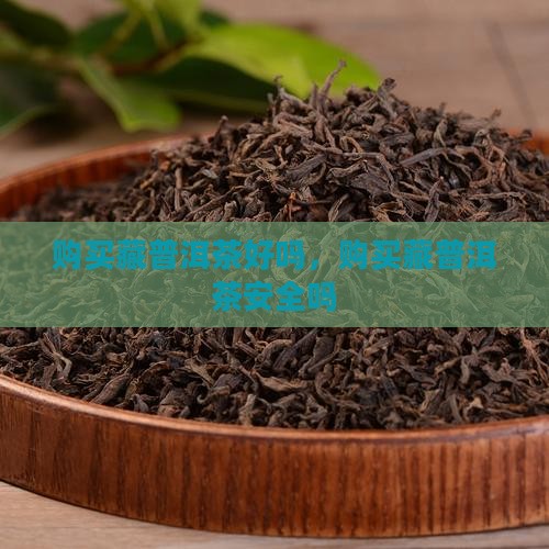 购买藏普洱茶好吗