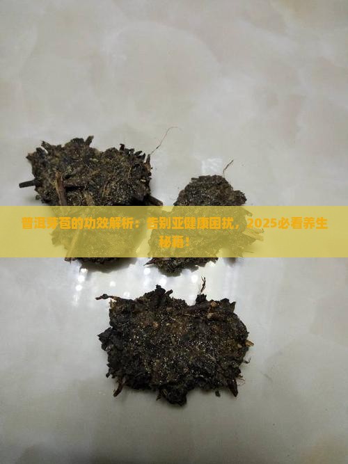 普洱芽苞的功效