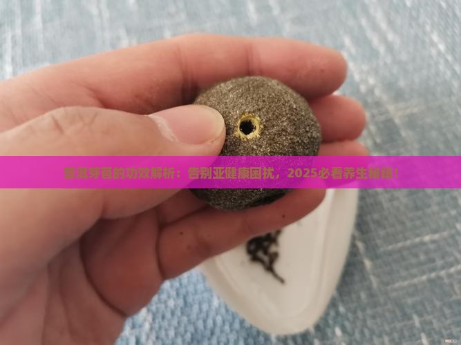 普洱芽苞的功效