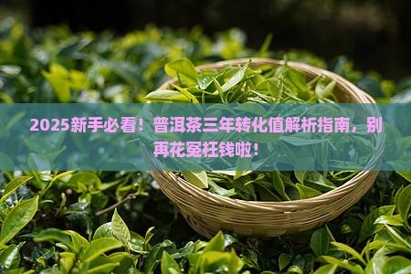 普洱茶三年的转化值