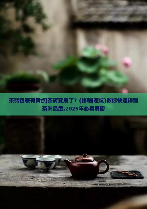 茶砖包装有黄点