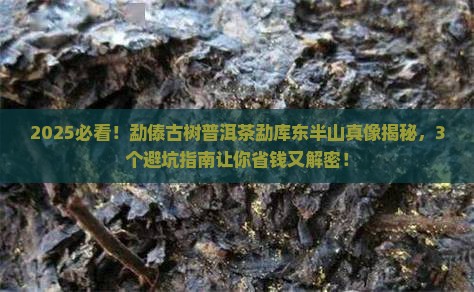 勐傣古树普洱茶勐库东半山