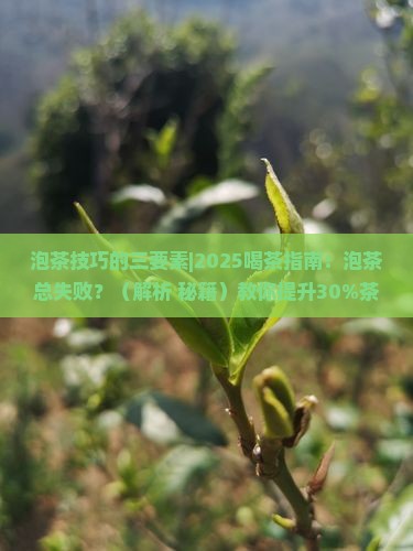 泡茶技巧的三要素