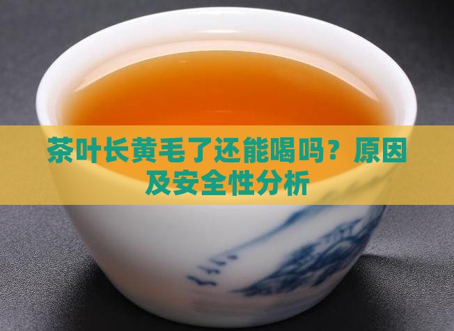 茶叶长黄毛了还能喝吗 茶叶长黄毛了还能喝吗