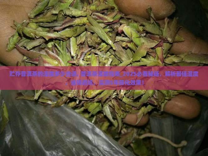 贮存普洱茶的湿度多少合适