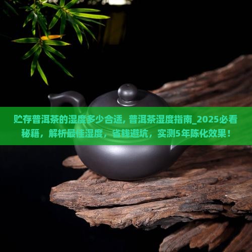 贮存普洱茶的湿度多少合适