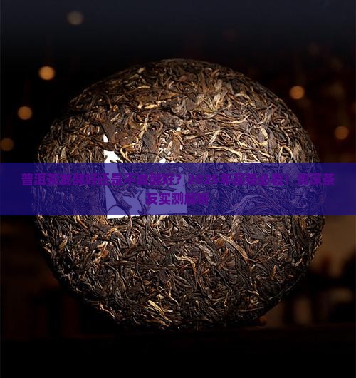 普洱茶发酵好还是不发酵好