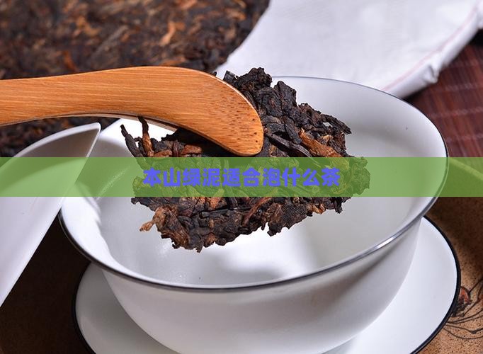 本山绿泥适合泡什么茶