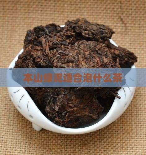 本山绿泥适合泡什么茶