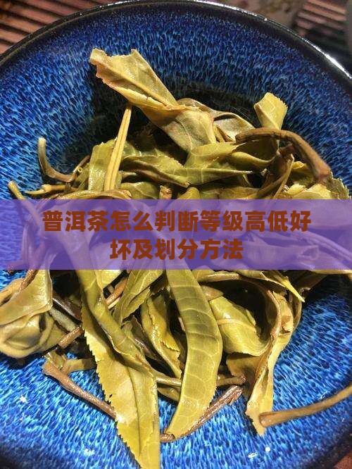普洱茶怎么判断等级