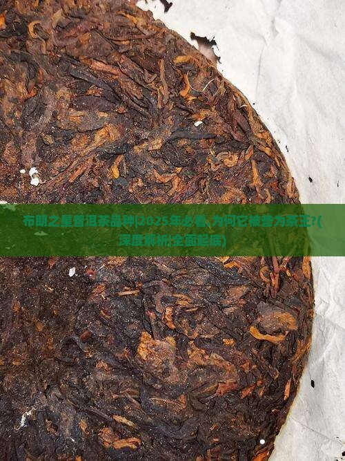 布朗之星普洱茶品种