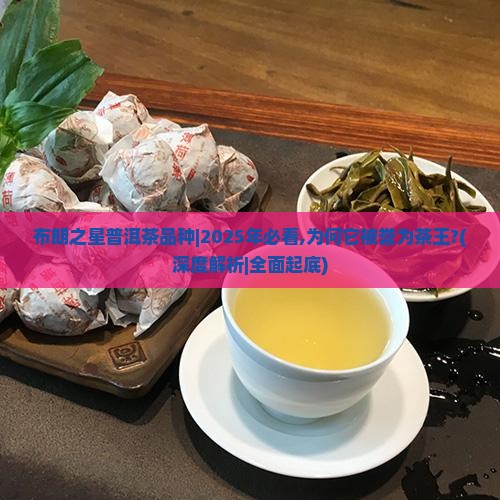 布朗之星普洱茶品种