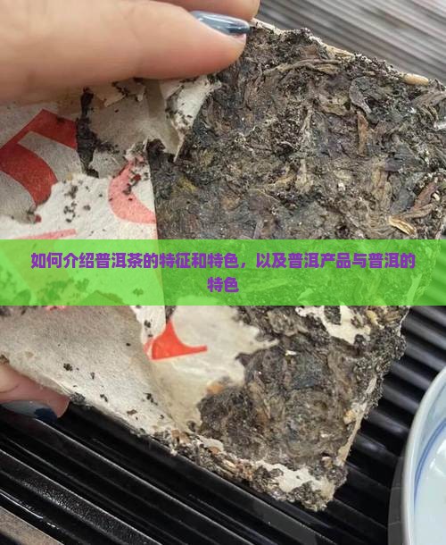 如何介绍普洱茶的特征和特色