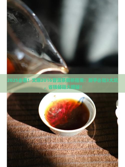 文琢2016普洱茶