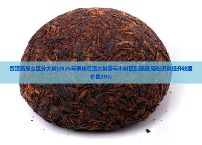 普洱茶怎么区分大树