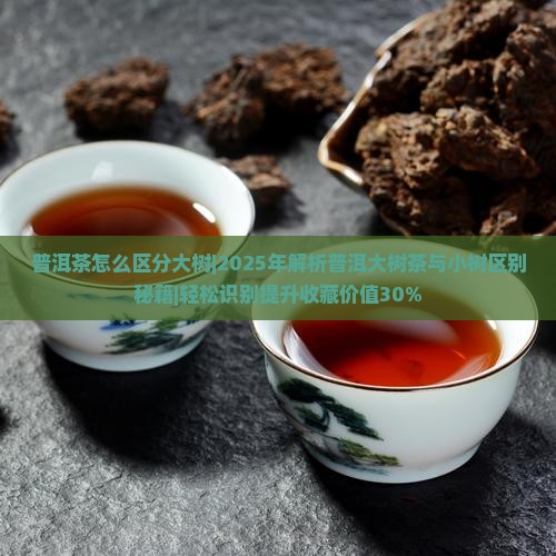 普洱茶怎么区分大树