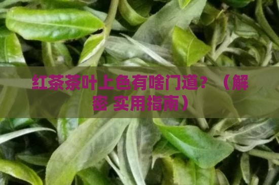 红茶茶叶用什么上色