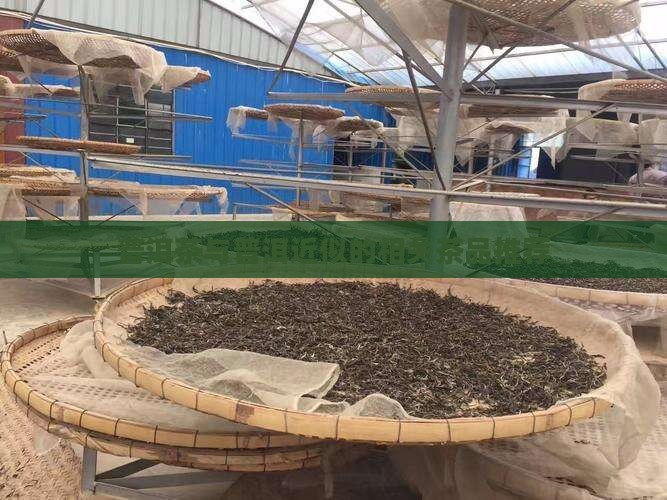 离普洱茶接近的茶有什么