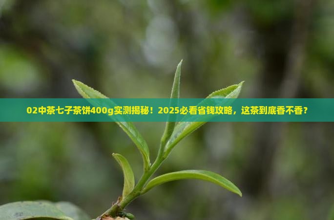 02中茶七子茶饼400g 02中茶七子茶饼400g