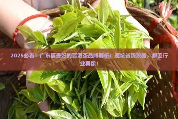 广东信誉好的普洱茶品牌