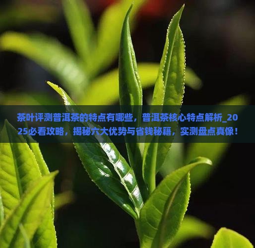 茶叶评测普洱茶的特点有哪些