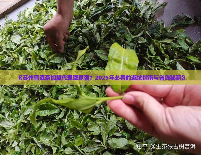 苏州普洱茶加盟代理排行榜