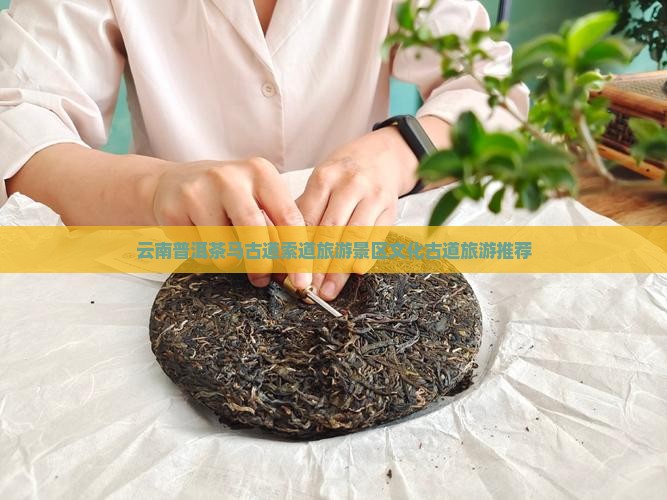 普洱茶马古道索道