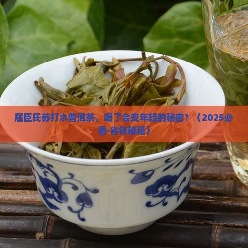 屈臣氏苏打水普洱茶