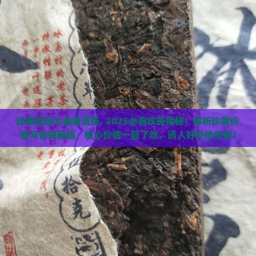 珍藏亚运大益普洱茶