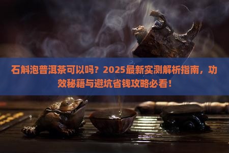 石斛泡普洱茶可以吗