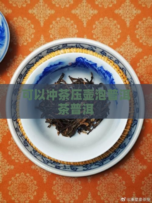 法压壶可以泡普洱茶吗