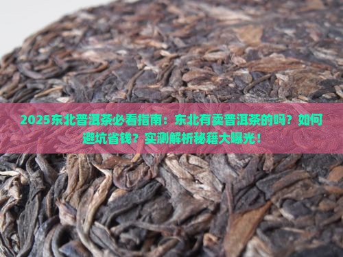 东北有要普洱茶的吗