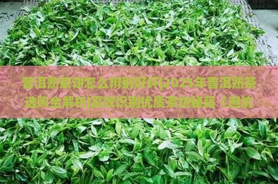 普洱熟茶饼怎么辨别好坏