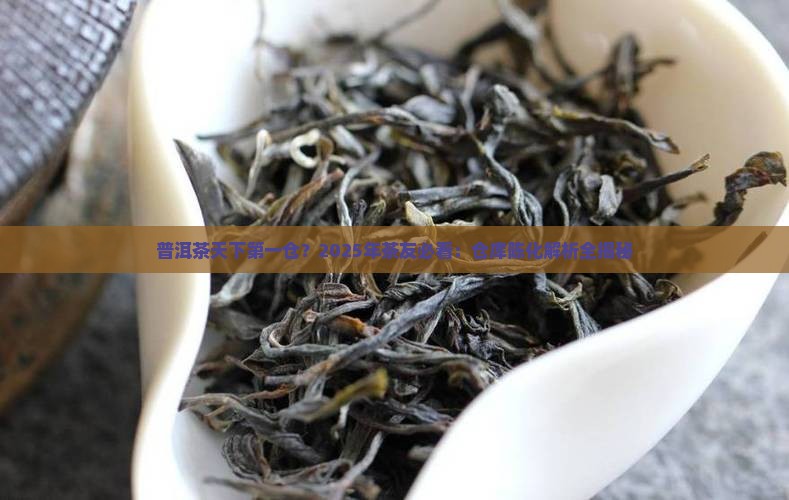普洱茶天下第一仓