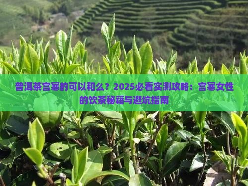 普洱茶宫寒的可以和么 普洱茶宫寒的可以和么