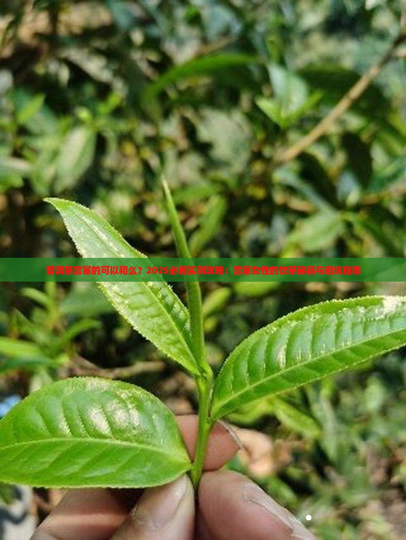 普洱茶宫寒的可以和么 普洱茶宫寒的可以和么