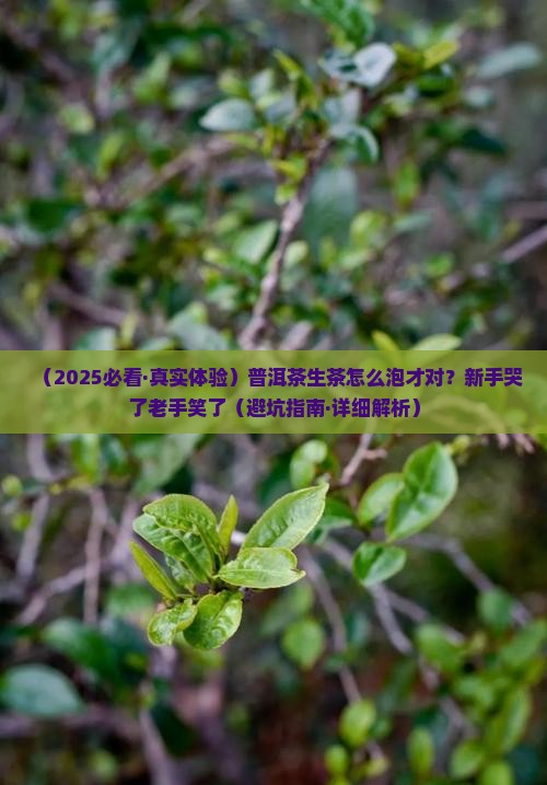 普洱茶生茶怎么浸泡