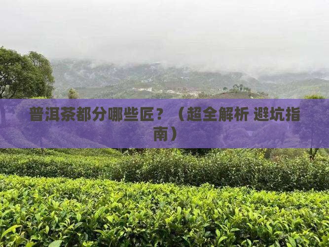 普洱茶都分什么匠 普洱茶都分什么匠
