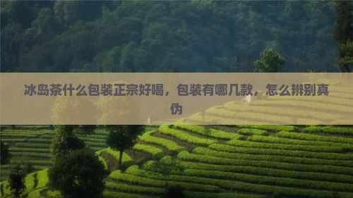 冰岛茶什么包装正宗