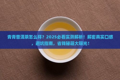 青青普洱茶怎么样