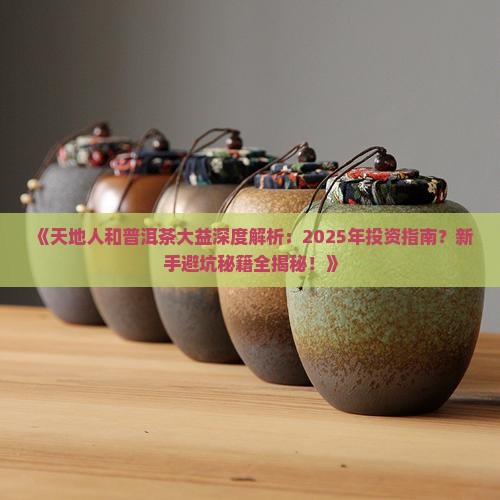 天地人和普洱茶大益