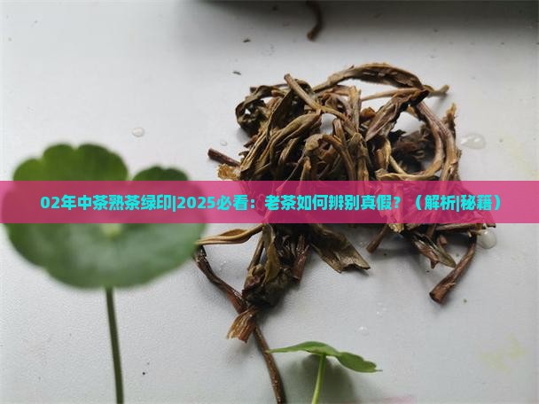 02年中茶熟茶绿印