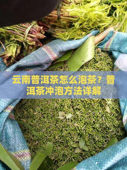 云南普洱茶怎么用壶泡茶