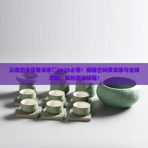 云南勐海县春海茶厂
