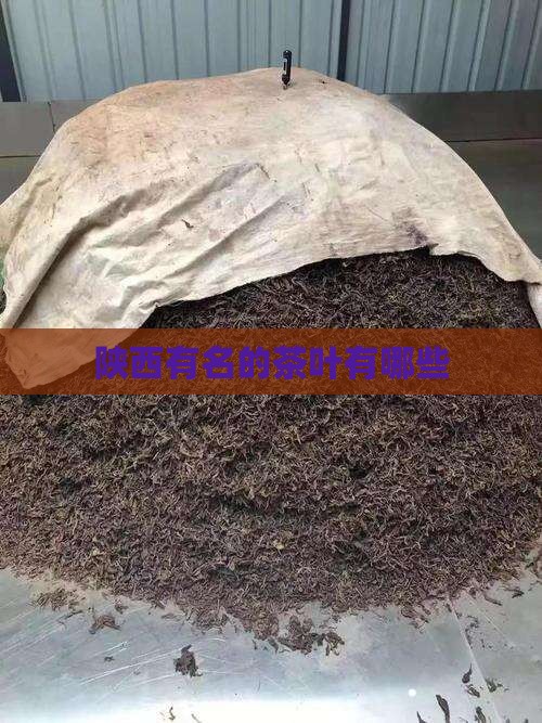 陕西有名的茶叶有哪些