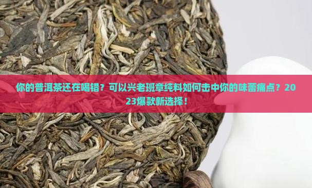 可以兴老班章纯料