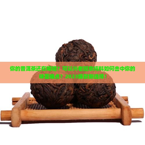 可以兴老班章纯料