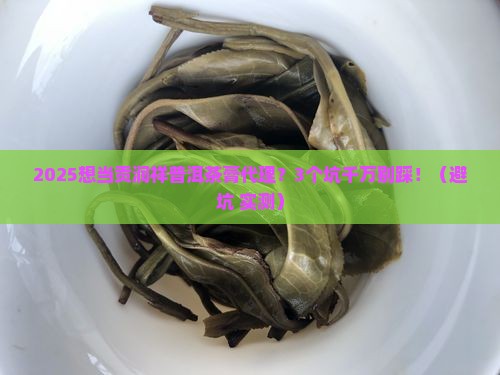 贡润祥普洱茶膏代理